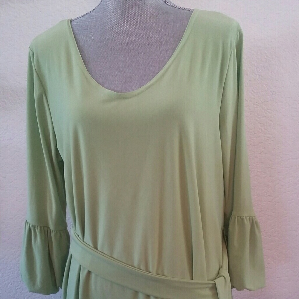 Anthony Green Dress L